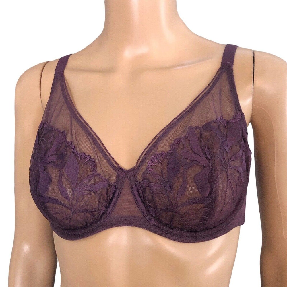 Aisilin Sheer Lace Mesh Bra Underwired